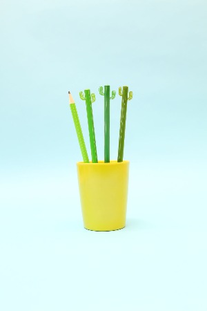 Set od 4 olovke - kaktusi
